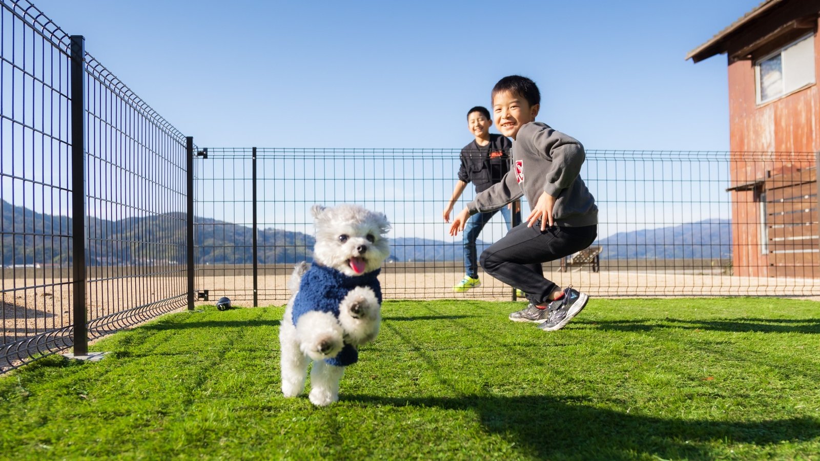 専用ドッグランを駆ける愛犬