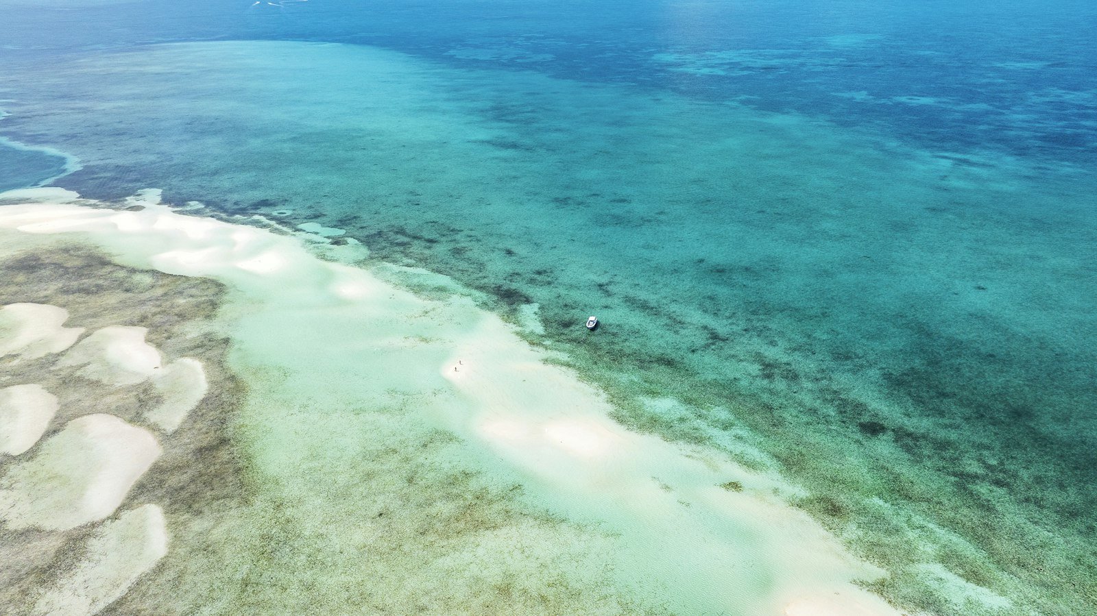 伊良部島の隆起サンゴ礁が広がる遠浅の海