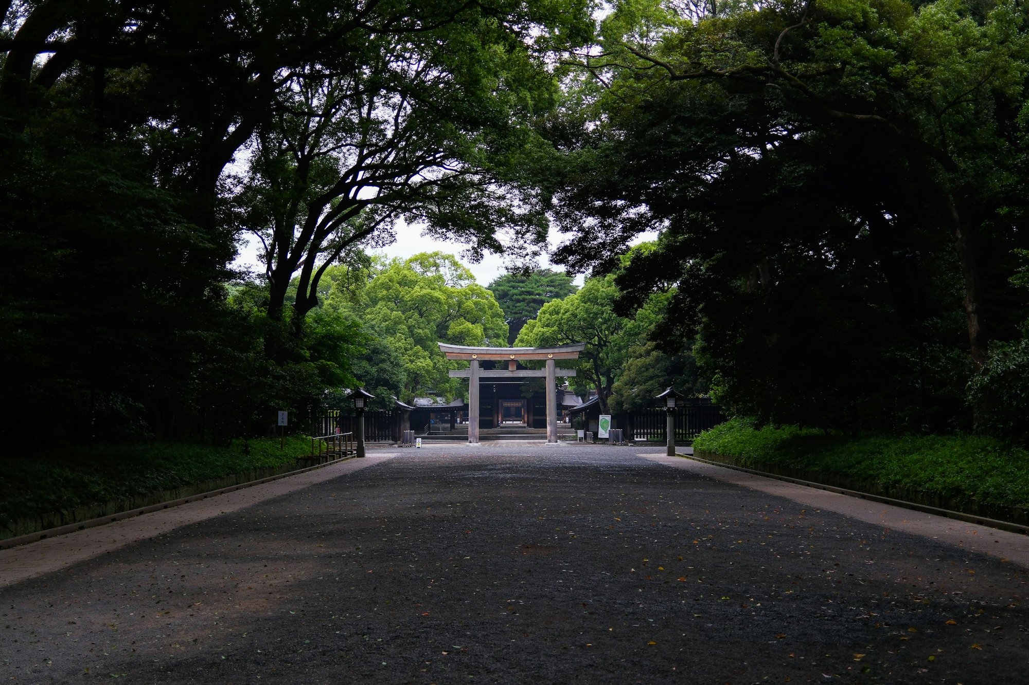 伊勢神宮の杜のイメージ