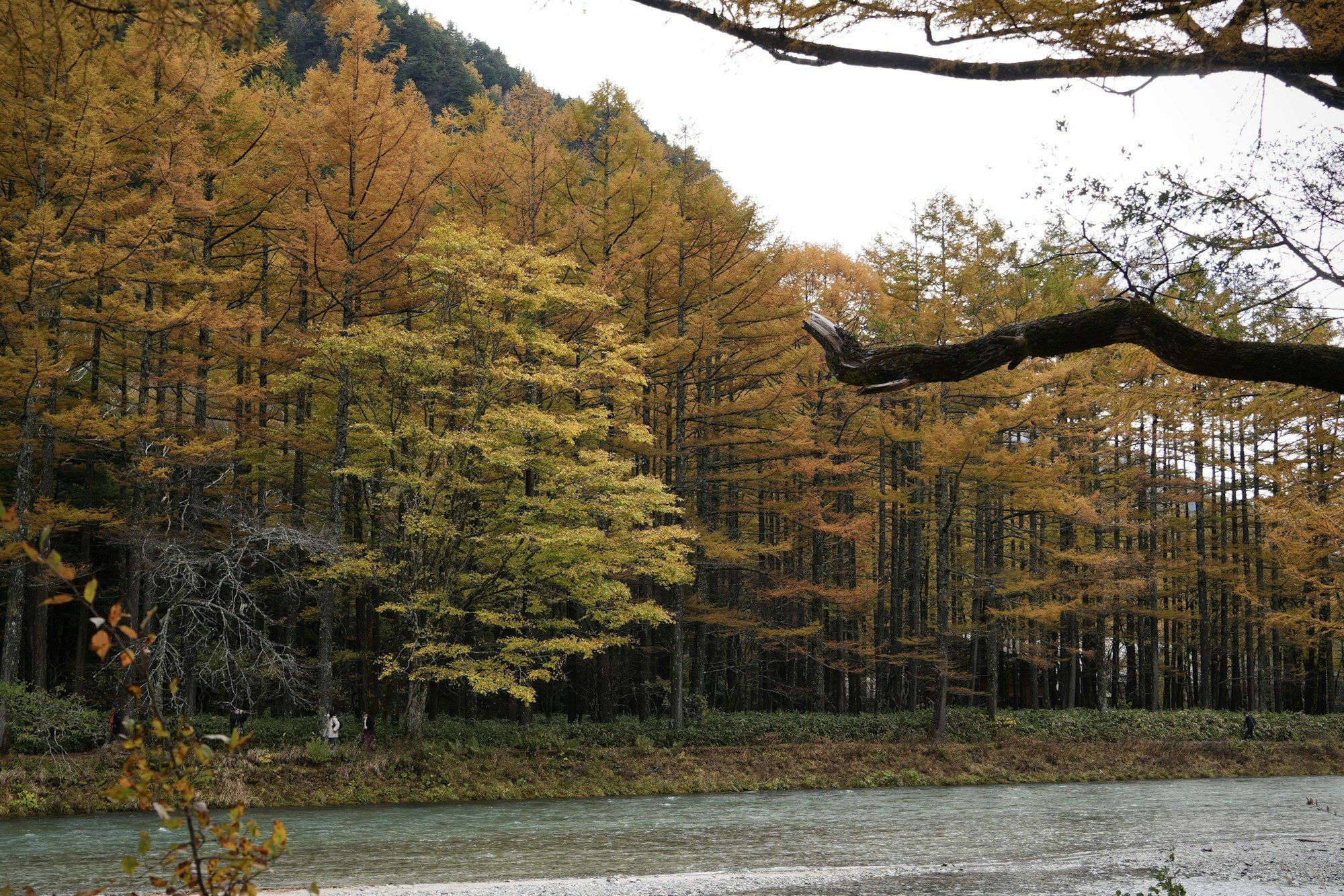 塩原温泉の渓流に映る紅葉